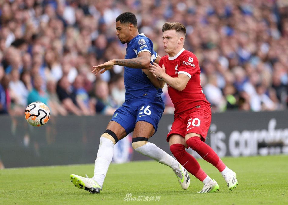 会窗口期灵 会窗口期灵